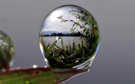 Nature in a Raindrop - nature, water, raindrop, reflection