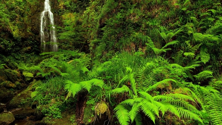 Waterfall - stunning, trees, waterfall, green