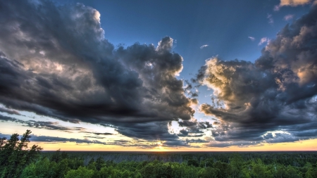 lovely sky over a vast forest hdr - sky, forest, clouds, sunset, hdr