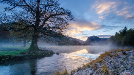 fog lifting from a river on a frosty morning - morning, frost, river, fog, tree, shore, grass