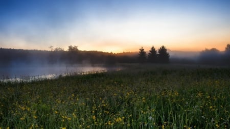 fog over flowered fields at dawn - pond, flowers, fog, fields, dawn