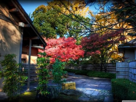 Tea House - japan, tea, house, japanese, garden