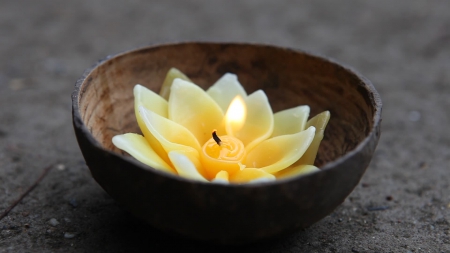 Flower Candle - relax, lotus, wooden, bowl, candle, flame, water lily, flower