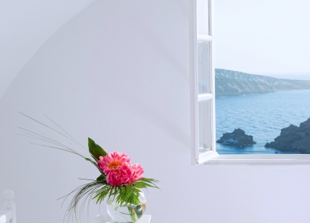 LOOK THROUGH THE WINDOW - window, flower, holidays, sea