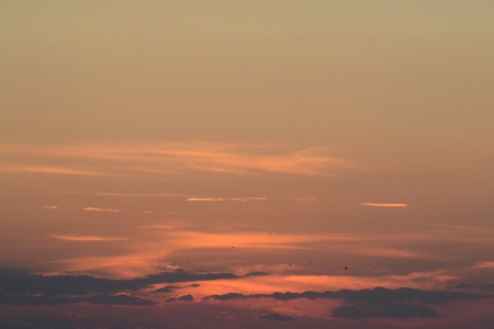 Sky with birds - sky, romanian, birds, beautiful