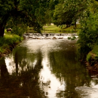 Summer In The Park