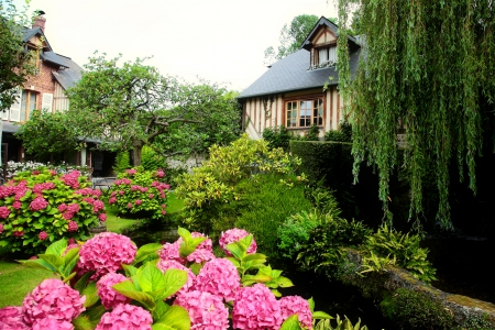 Summer garden - greenery, trees, summer, beautiful, lovely, freshness, village, countryside, nature, garden, houses, peaceful, hydrangea