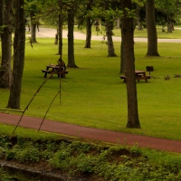 Picnic In The Park