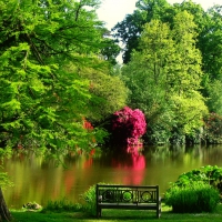 Sheffield park