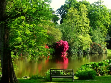 Sheffield park - pretty, relax, summer, tranquil, grass, forest, photo, calmness, shore, garden, bench, sit, lake, nice, place, greenery, trees, water, beautiful, pond, lovely, rest, river, nature, green, Sheffield, serenity, park