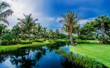 Tropics - relax, summer, beach, grass, reflection, shore, exotic, paradise, place, sky, palms, beautiful, vacation, sunshine, rest, tropics, glow, tropical, rays