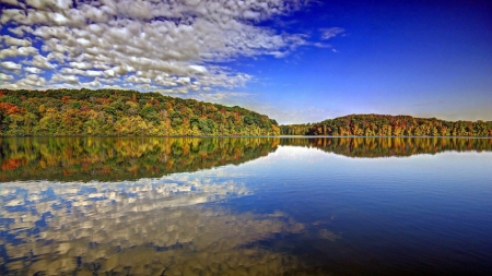 Beautiful Nature - beautiful, lake, trees, nature