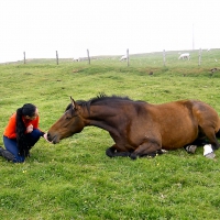 Cowgirl Feeding Friend