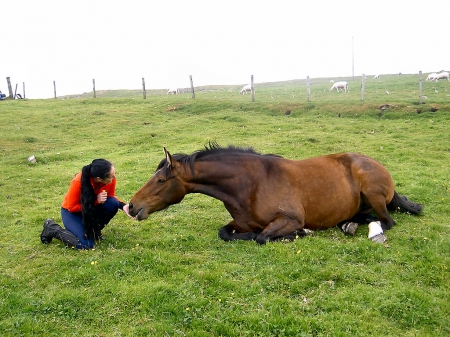 Cowgirl Feeding Friend - women, fun, female, fences, fields, girls, cowgirls, style, outdoors, horses, ranch, westerns