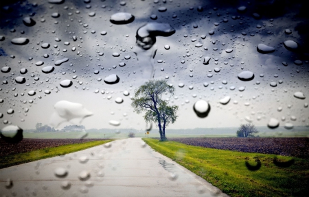 Rain - clouds, nature, window, rain, splendor, road, drops, sky