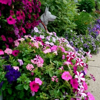 Summer Gardens Walkway