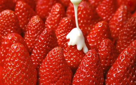 Strawberries and Cream - cream, delicious, food, strawberries