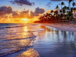 ♥Tropical Sunset♥