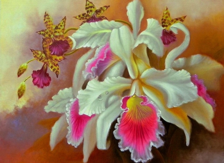 Beautiful Orchid - white, beautiful, orchid, flower, art, pink