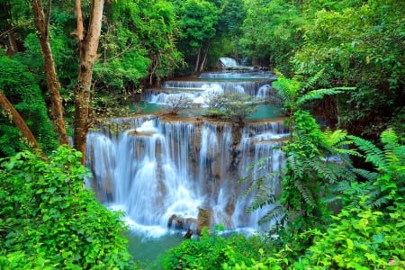 Forest waterfall - trees, cascades, greenery, waterfall, lovely, nature, view, fall, forest, beautiful, leaves