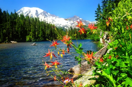 View of a snowy mountain - trees, summer, beautiful, snowy, lovely, mountain, flowers, river, shore, riverbank, view, peak, sky