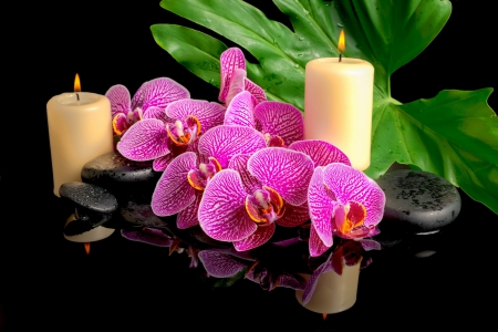 Spa concept - pretty, relax, pink, reflection, bamboo, flowers, candles, nice, spa, beautiful, flame, lovely, still life, stones, concept, orchids, leaf