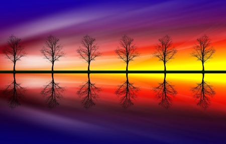 Colorful Sunset - trees, sunset, reflection, colorful