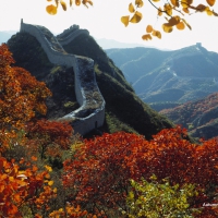 Great Wall in Autumn