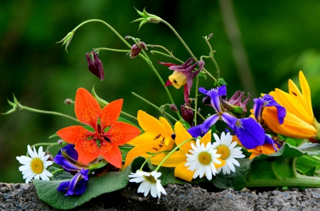 Summer Bouquet - lilies, orchids, summer, flowers, bouquet, daisies, irises