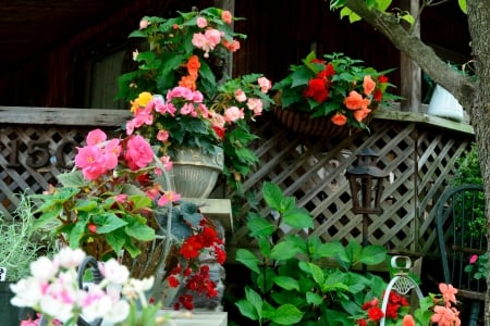 Scenic Summer Scene - summer decor, colorful flowers, beautiful flowers, summer flowers, Scenic Summer Scene, summer design