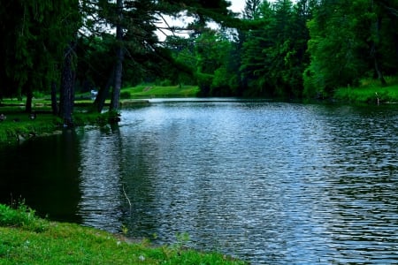 Relaxing Summer Pond - tranquil pond, relaxing summer pond, summer pond, scenic pond, summer day, relaxing pond