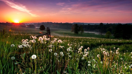 sunset over a  weed covered field - fence, hills, fields, sunset, weeds