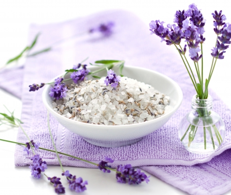 Lavender - nature, flowers, still life, purple flowers, lavender