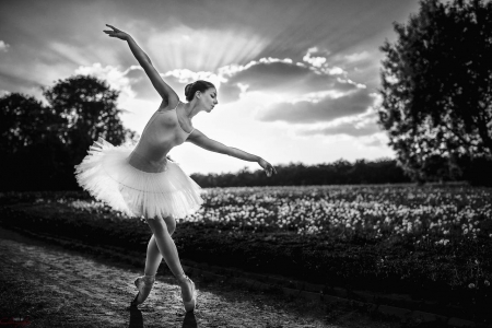 The Dancing Swan - dancer, swan, black and white, beautiful