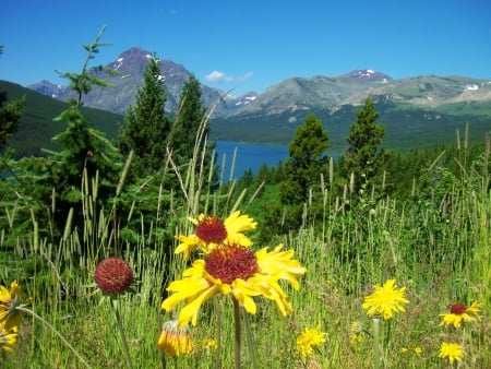 Landscape with mountain and lake - pretty, hills, summer, beautiful, landscape, grass, lovely, mountain, wildflowers, shore, nature, view, peak, lake, paradise, sky