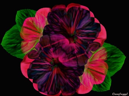 FLOWER OVER FLOWER - flowers, creation, two, abstract