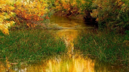 peaceful river in autumn