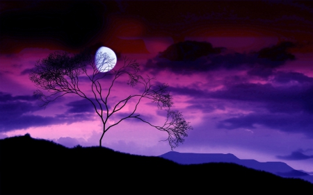 purple haze and moonlight - gorgeus, scenic, beautiful, view