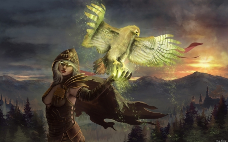 Fantasy girl - bird, girl, feather, magical, fantasy, woman, hawk, wings, art