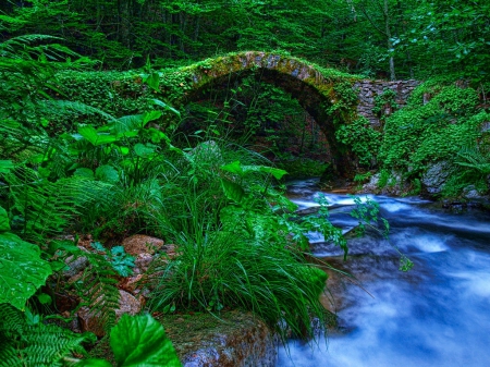 Leonidas Bridge~Greece - trees, water, plants, greece, rocks, forest, river, bridge, rhodope, ferns