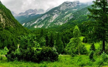 Green Mountains - verde, munte, minunat, crud