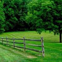 The Great Outdoors