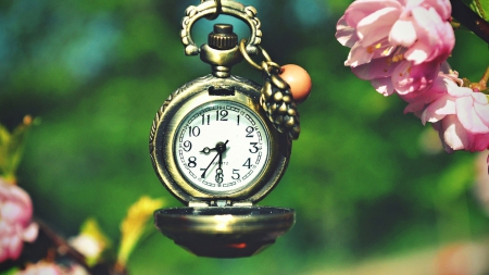 Still Life - pocket watch, old, flower, still life