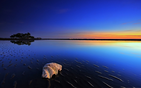 Beach Sunset - beach, ocean, shell, sunset