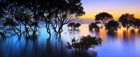 Morning Reflections - mystic, trees, wetlands, calm, lakes, yellow, beautiful, blue, orange, sunrise