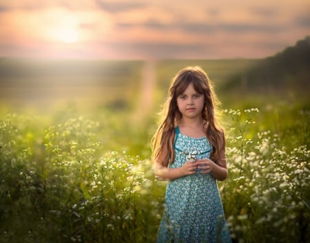 Sweetness - kid, splendor, girl, beauty, child, flowers, sunset, nature, adorable, face, field, sun