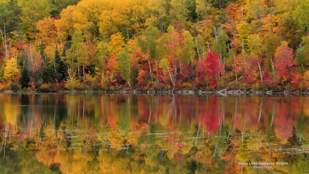 Autumn Reflections - canada, lake, autumn, north america