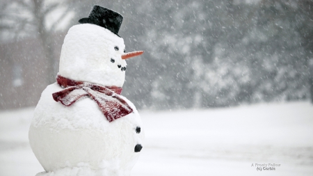 Snowman - snowman, winter, cold, snow