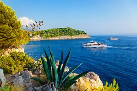 Trees, flowers and sea - summer, coast, flowers, holiday, view, Croatia, exotic, place, trees, beautiful, vacation, ship, sea, travel, lovely, rest, nature, bay