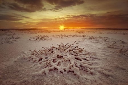 Remains - remains, sunset, nature, beautiful, splendor